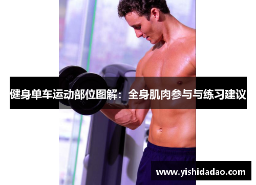 健身单车运动部位图解：全身肌肉参与与练习建议