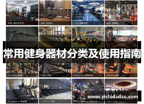 常用健身器材分类及使用指南