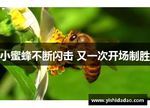 小蜜蜂不断闪击 又一次开场制胜
