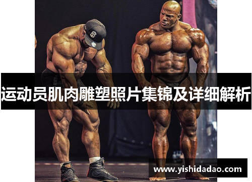 运动员肌肉雕塑照片集锦及详细解析